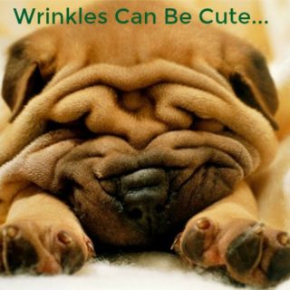Facial Aesthetic Treatment For Wrinkles